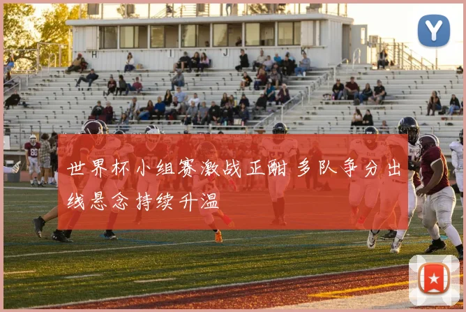 世界杯小组赛激战正酣 多队争分出线悬念持续升温