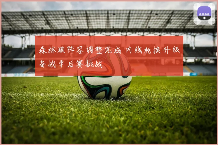 森林狼阵容调整完成 内线轮换升级备战季后赛挑战