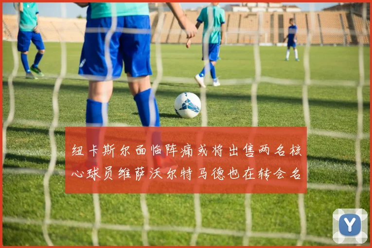 纽卡斯尔面临阵痛或将出售两名核心球员维萨沃尔特马德也在转会名单上
