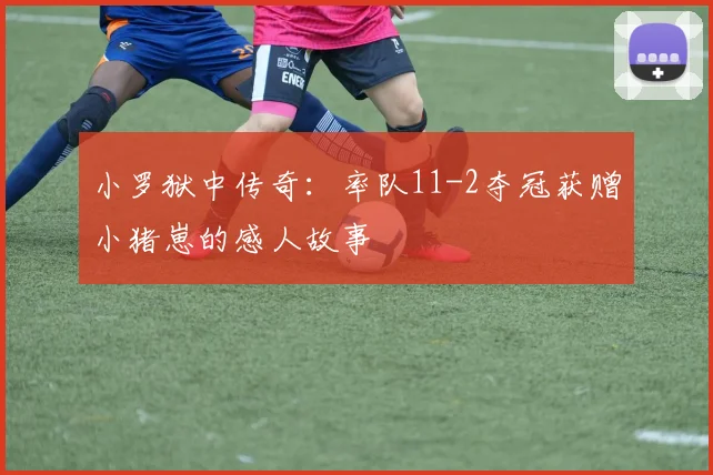小罗狱中传奇：率队11-2夺冠获赠小猪崽的感人故事